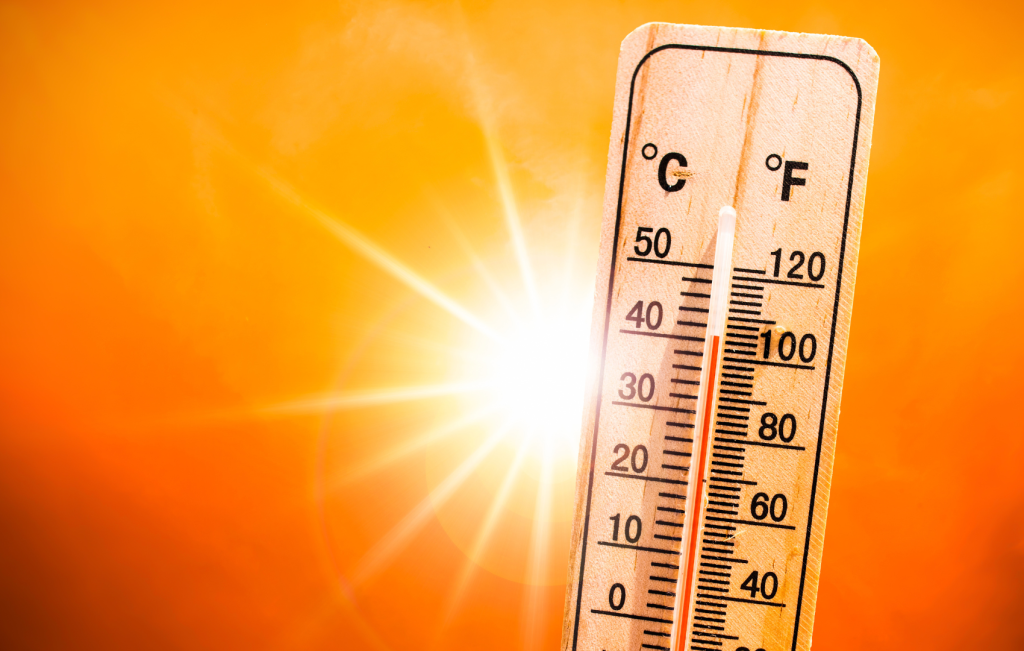 Canicule et son impact sur le marché de l'énergie