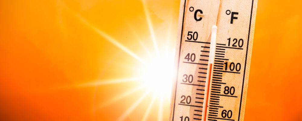 Canicule et son impact sur le marché de l'énergie