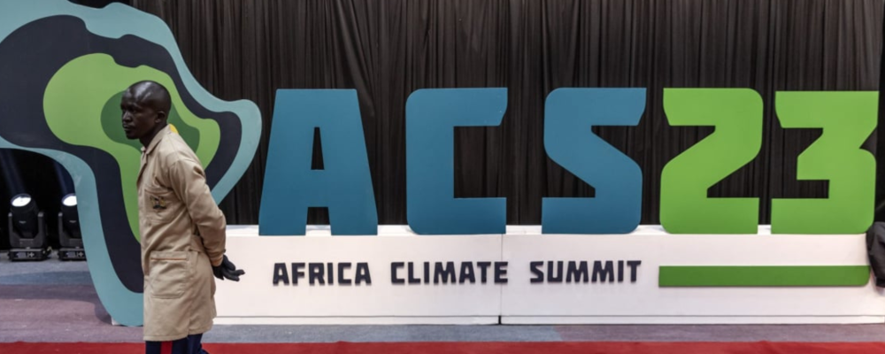 Les Émirats investissent 4.5 milliards de dollars dans les énergies vertes en Afrique