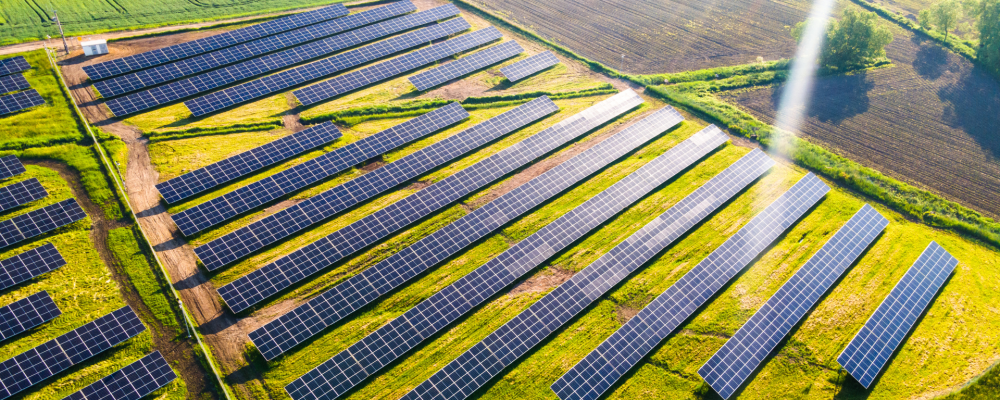 investissement solaire champ panneau solaire photovoltaique