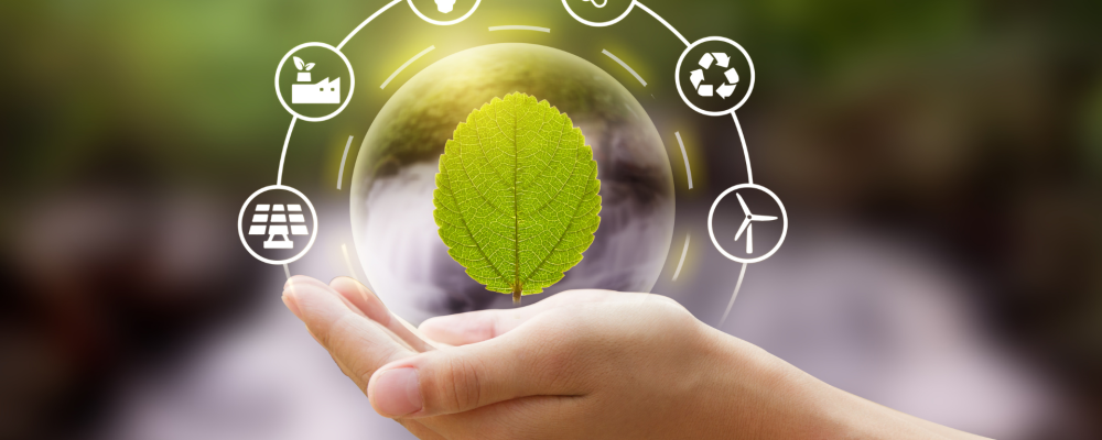 Les différentes normes environnementales pour les entreprises