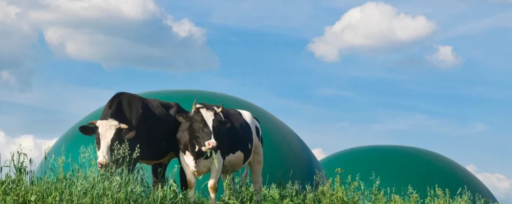 comment produire du biogaz agricole