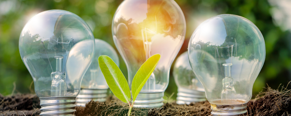 la programmation pluriannuelle de l'énergie (PPE)