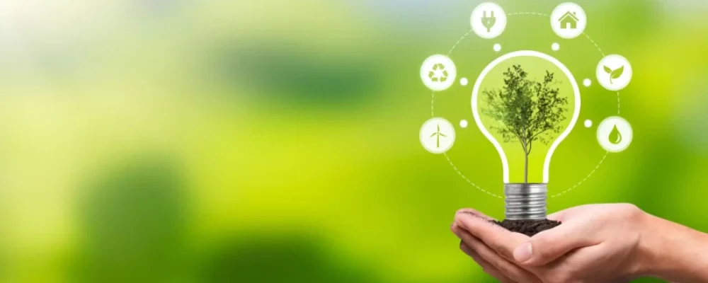 avenir-des-energies-renouvelables