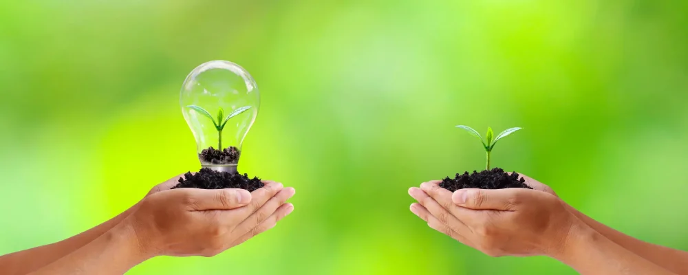 les normes environnementales à respecter par une entreprise